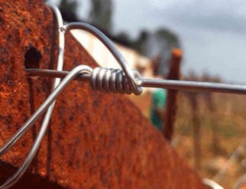 Vineyard Wire
